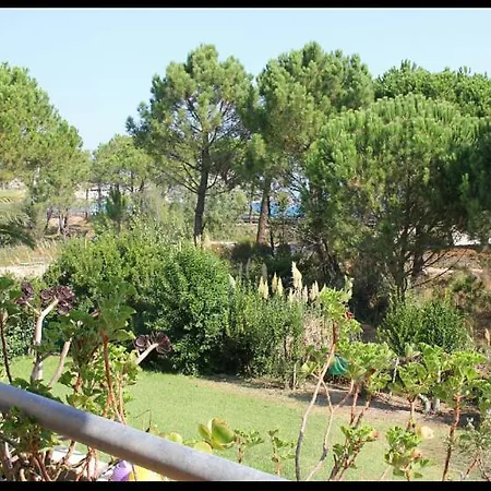 Appartement Avec Terrasse Vue Mer Et Jardin Linge Et Menage Final Inclus